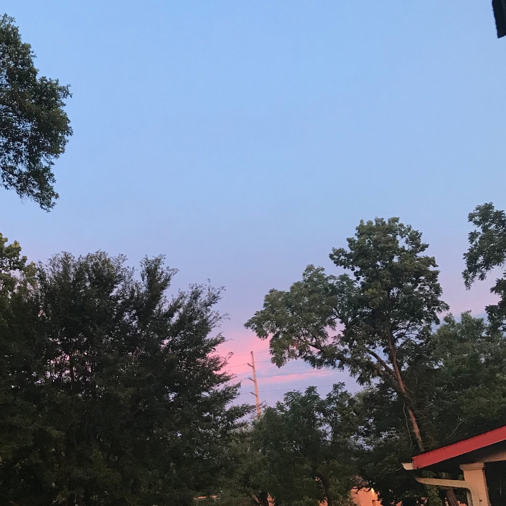 Meet your Posher, Lou